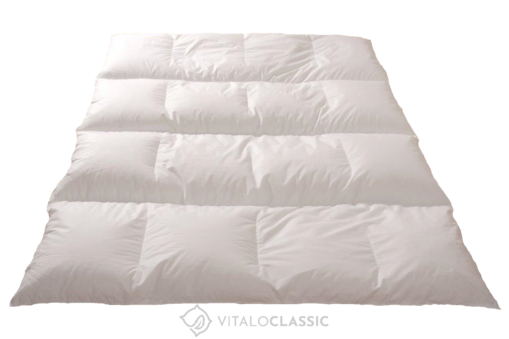 Canadian Dreams Classic Winter Daunen 200x200 extra warm